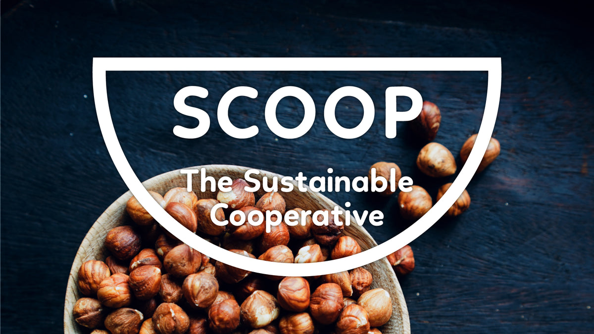 The Scoop Loop – The Sustainable Cooperative